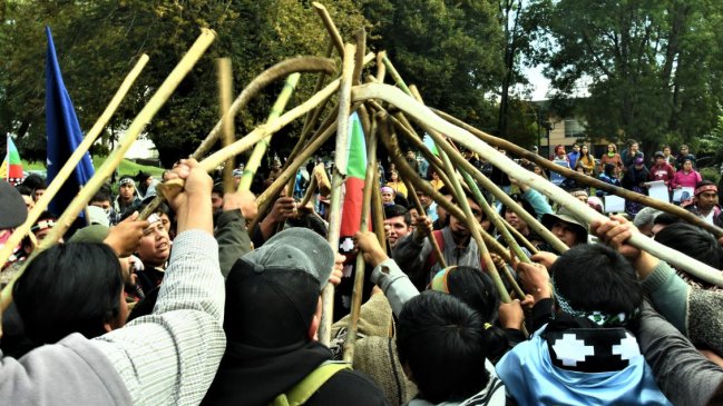 Gobierno y Carabineros ponen en duda que mapuche haya sido baleado en Victoria