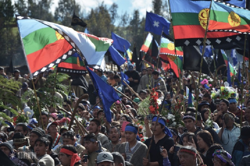 Dirigente mapuche rechaza Consulta Indígena: Quieren repetir la 