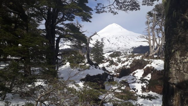 Brigada militar se sumó a la búsqueda de docente extraviado en el Parque Conguillío