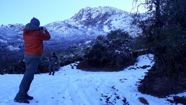Olmué: Conaf restringió ascenso a cima de parque La Campana en invierno