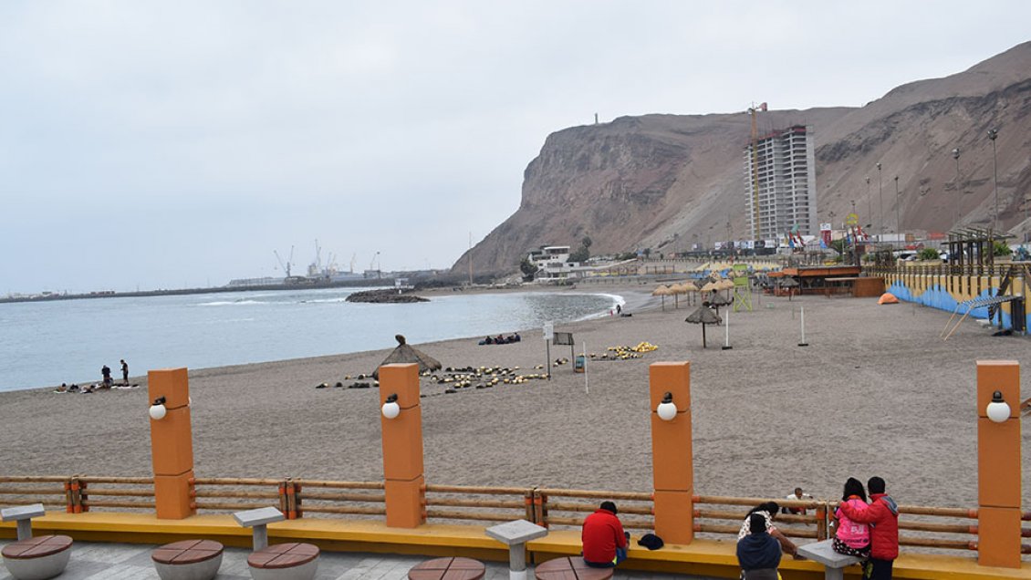 Proyecto permitirá conocer la biodiversidad del borde costero de Arica
