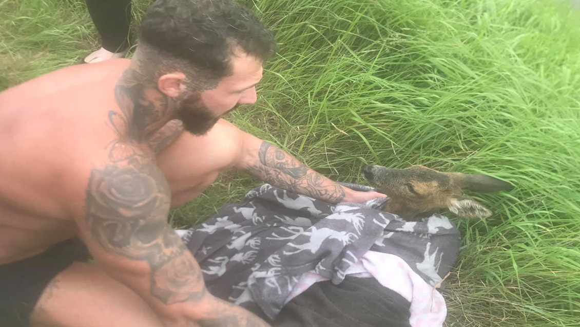 Heroica reacción de un joven: Salvó a un pequeño ciervo de ahogarse