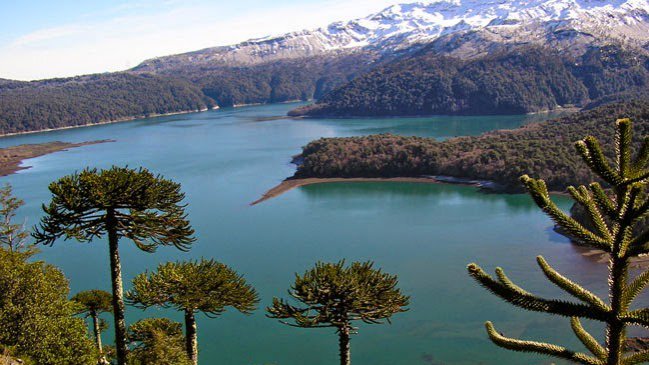 Amigos de docente extraviado en Parque Conguillío juntan dinero para apoyar búsqueda