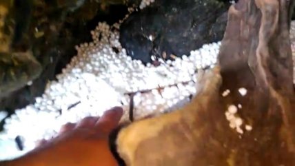   Plumavit, tuberías y boyas: Así es la contaminación que preocupa en el Parque Nacional Laguna San Rafael 