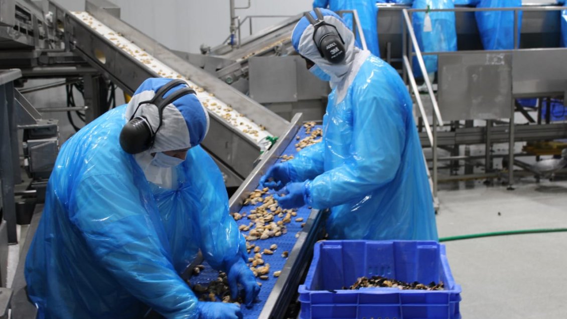 Los desechos industriales de Chiloé se depositarán en Maullín