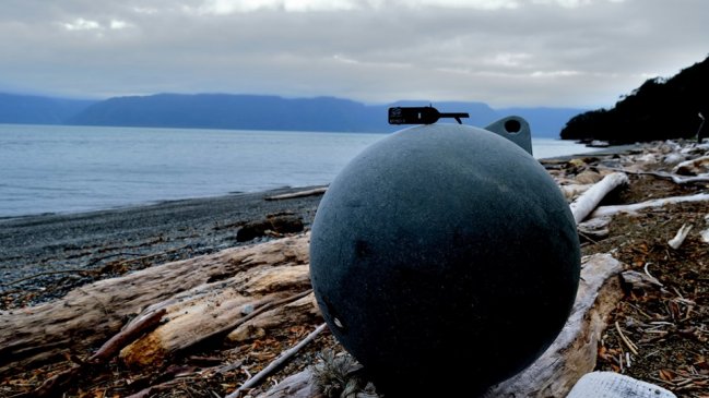 Greenpeace cuestiona permisos salmoneros en inmediaciones de áreas protegidas