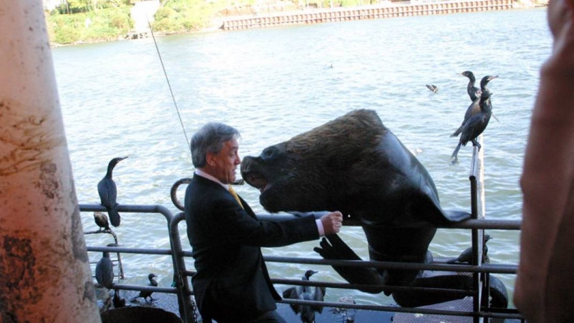 Piñera en el Día del Medio Ambiente: 