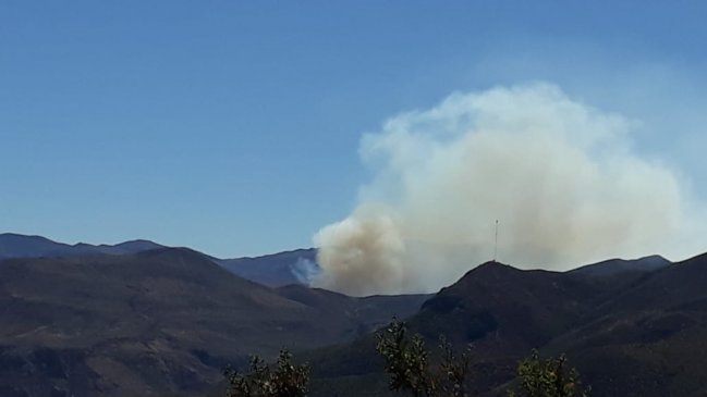 Incendio forestal en las cercanías de Putre alertó a personal de Conaf