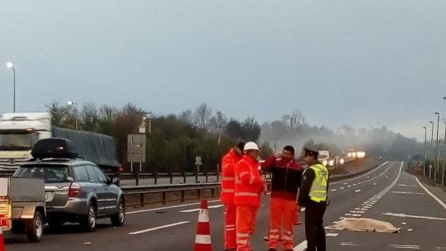 Iba camino a su trabajo: Ciclista murió atropellado en Freire