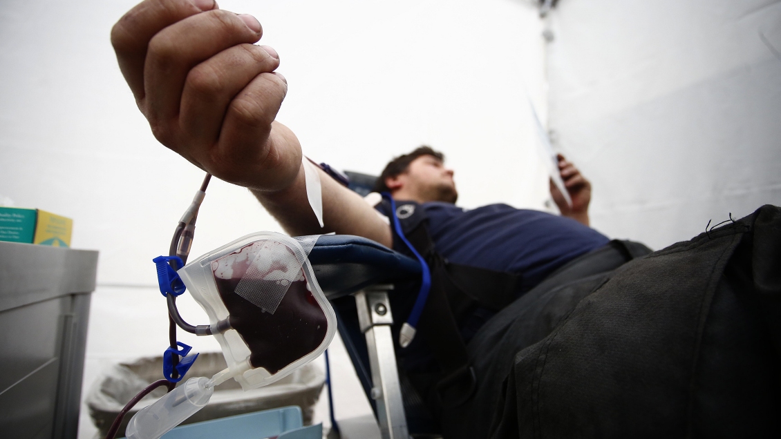 En el Día Internacional: Los mitos y verdades de la donación de sangre