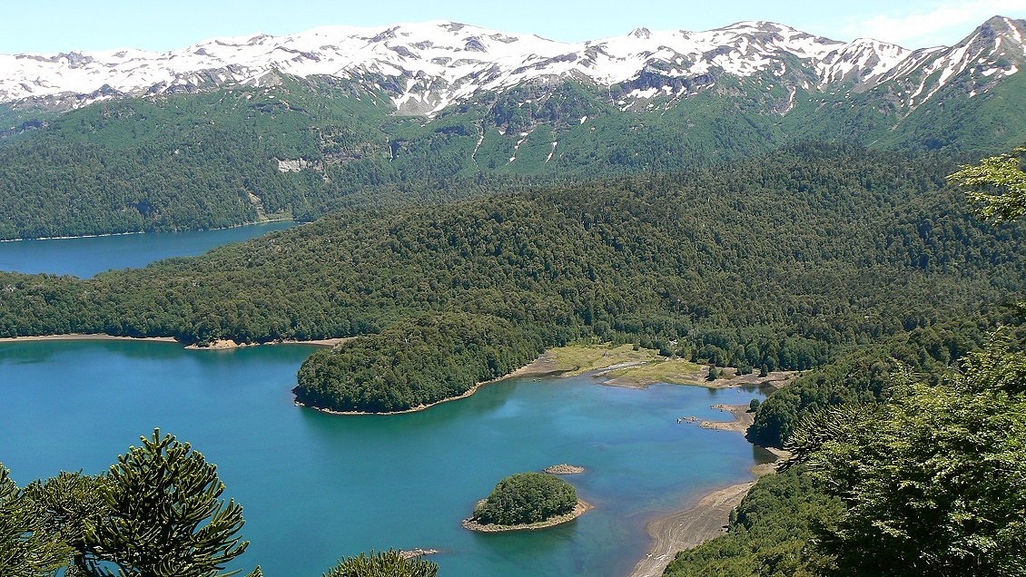 Alistan sobrevuelos para continuar búsqueda de profesor extraviado en Conguillío