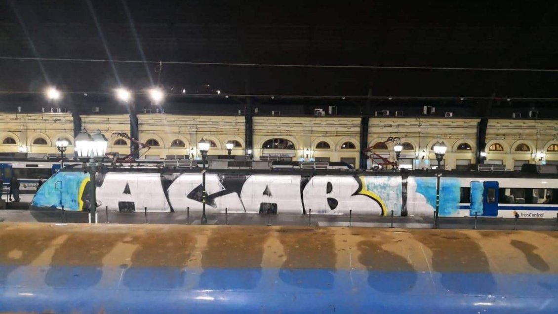 Tren Central se querellará por gigantesco rayado en uno de sus carros