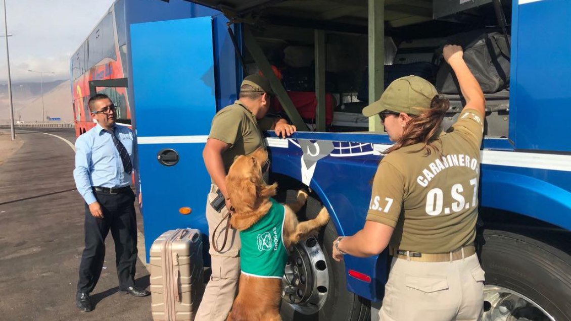 Huara: Fiscalización delató a sujeto que ocultaba tres kilos de cocaína en su equipaje