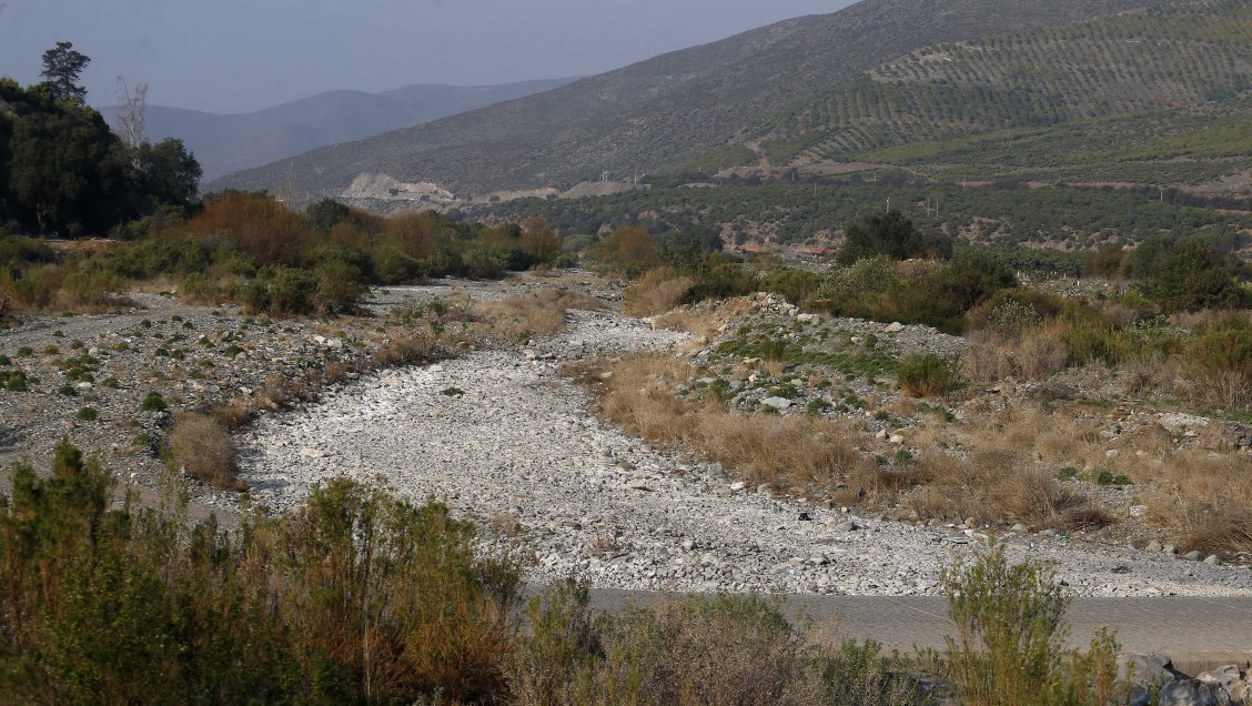Greenpeace: 76% del territorio chileno está afectado por la sequía