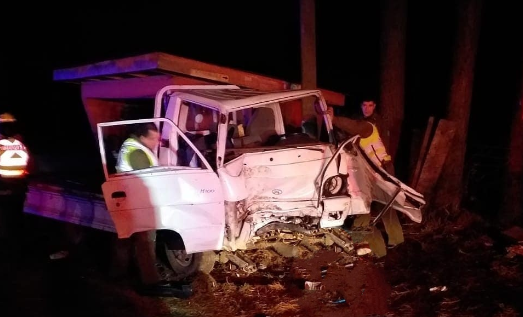 Hombre que evadió un control policial murió tras chocar contra un árbol