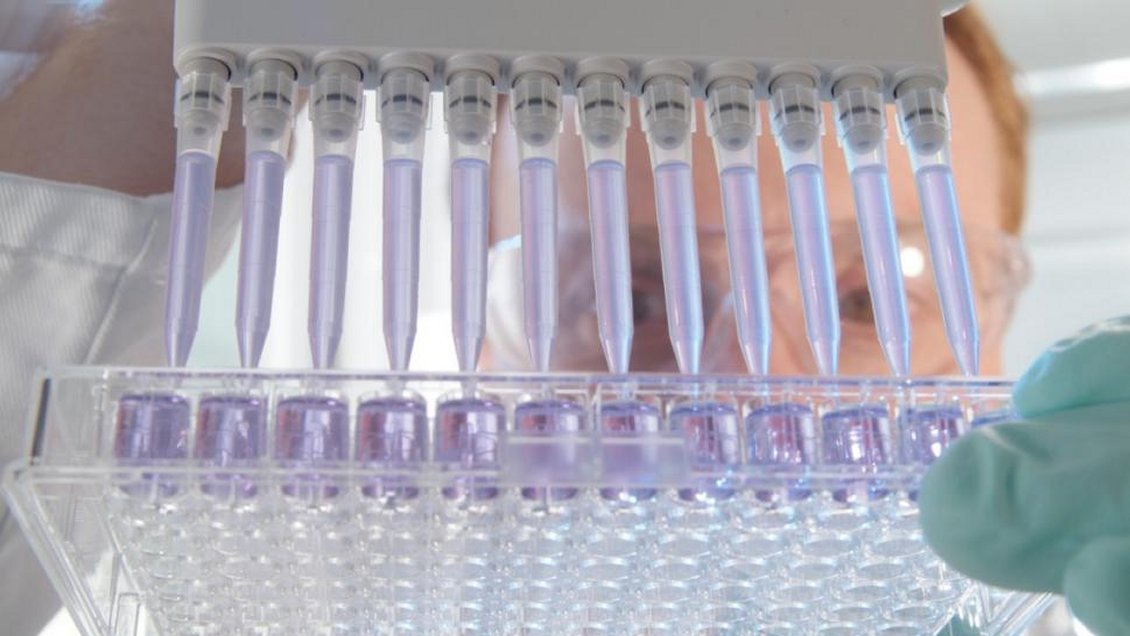 Científicos de la Universidad de Concepción descubrieron relación entre la vitamina C y el cáncer