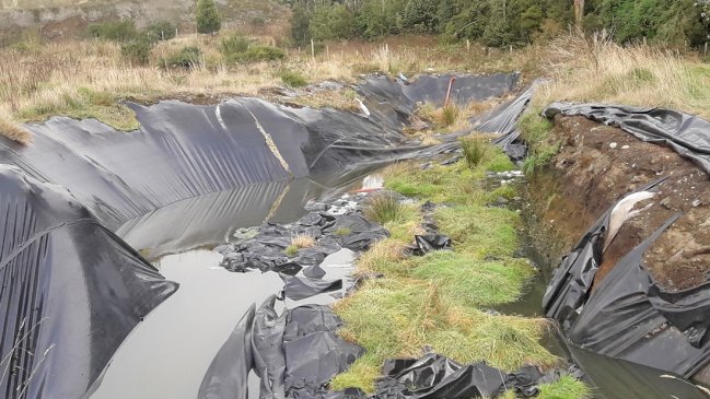 SMA fiscalizó vertederos industriales en las provincias de Chiloé y Llanquihue