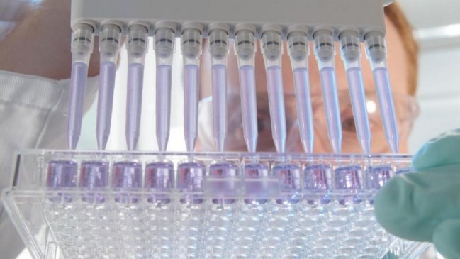 Científicos de la Universidad de Concepción descubrieron relación entre la vitamina C y el cáncer