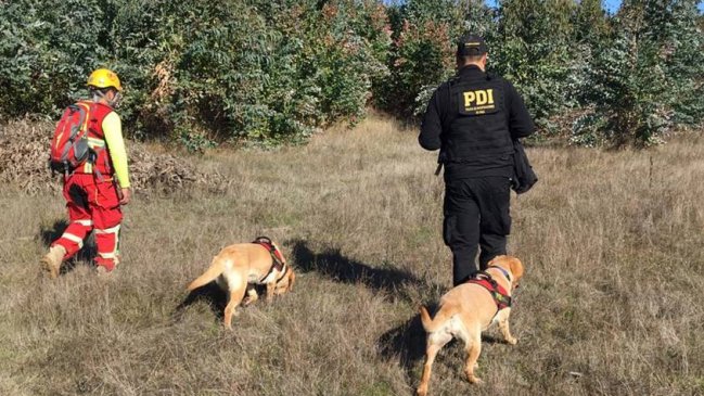 PDI sumó brigada canina a búsqueda de anciana extraviada hace más de un mes en Quirihue
