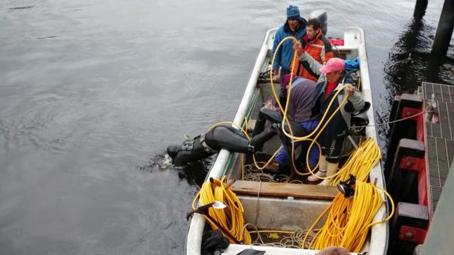 Mujer falleció tras caída de automóvil al río Maullín