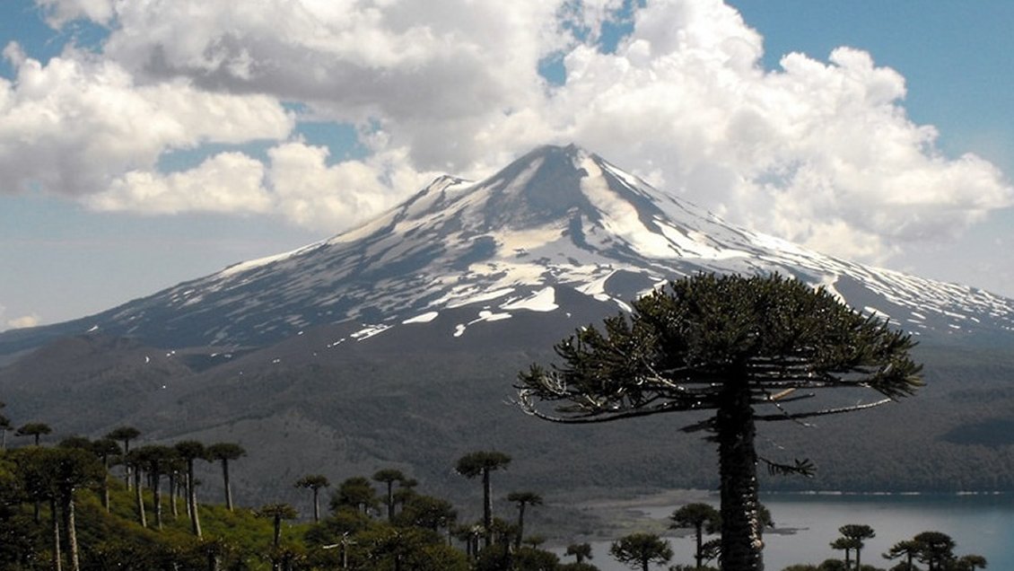 Suspendieron búsqueda de docente extraviado en Parque Conguillío