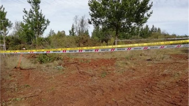 Investigan hallazgo de fragmentos de un cráneo en cercanías de Quillón