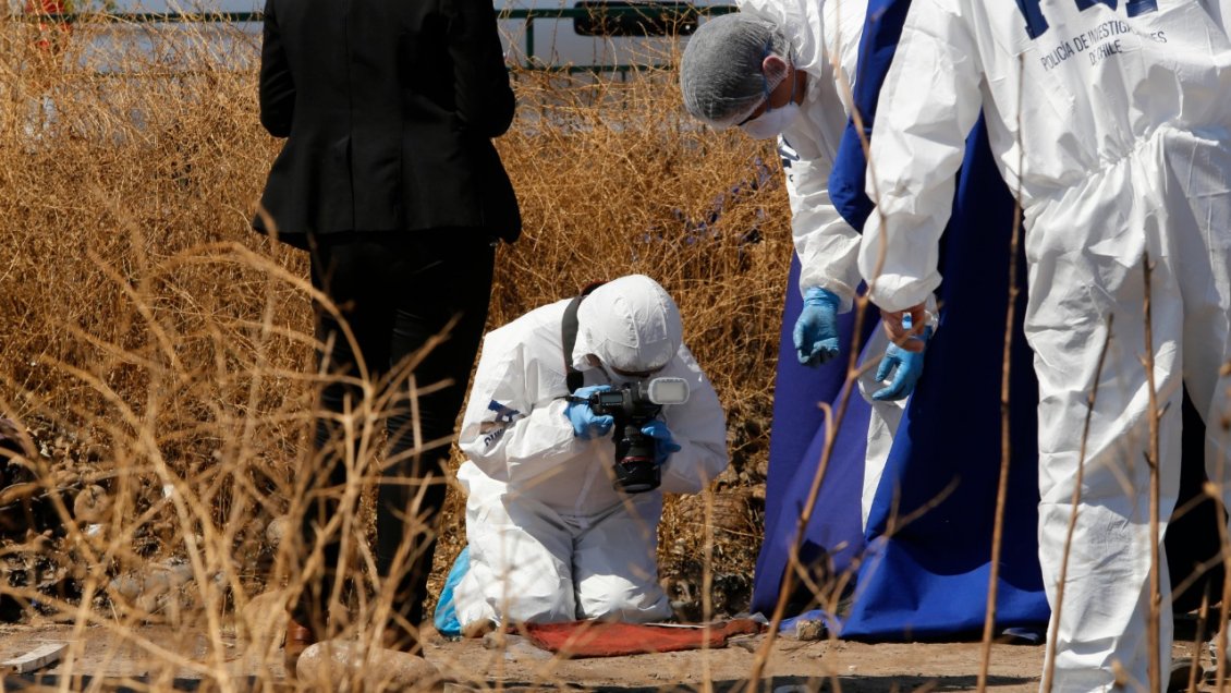 Investigan hallazgo de osamentas humanas en Graneros