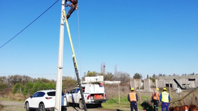 CGE anunció investigación interna por muerte de yegua en Maule