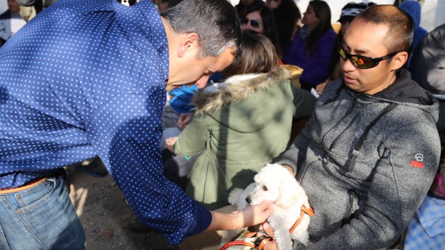 Más de 70 mil mascotas fueron inscritas en O'Higgins