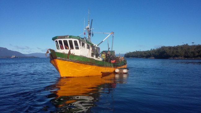 Armada y Sernapesca decomisaron tres toneladas de erizos y 300 kilos de centollas