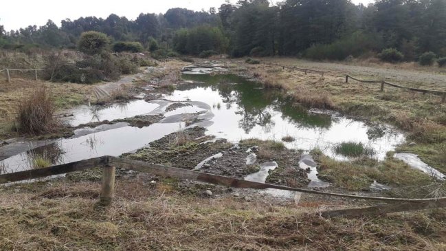 Ordenan medidas para cerrar vertedero industrial abandonado en Dalcahue