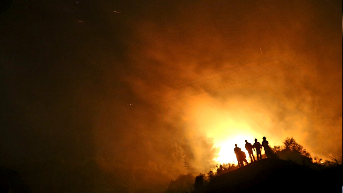 Hectáreas de bosque quemadas se duplicaron el último año en Chile