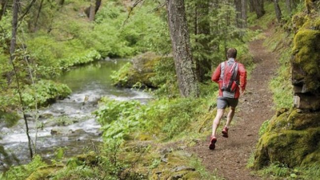 Directora de Sernatur Los Lagos fue removida de su cargo por 