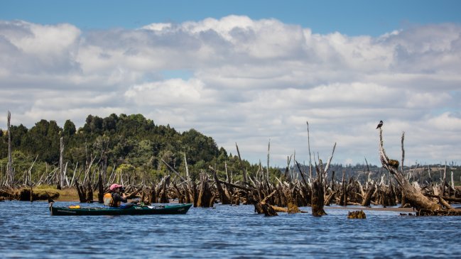 Chiloé: Trabajan en un plan provincial de protección de humedales