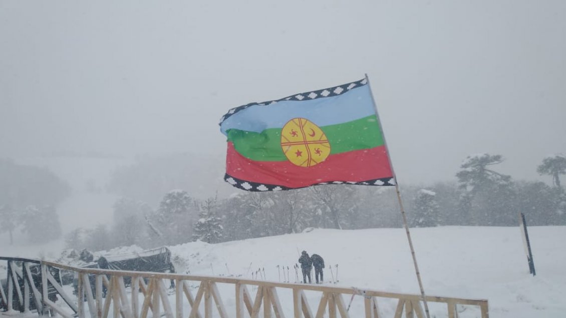 Gobierno entregará ayuda a familias aisladas en Lonquimay