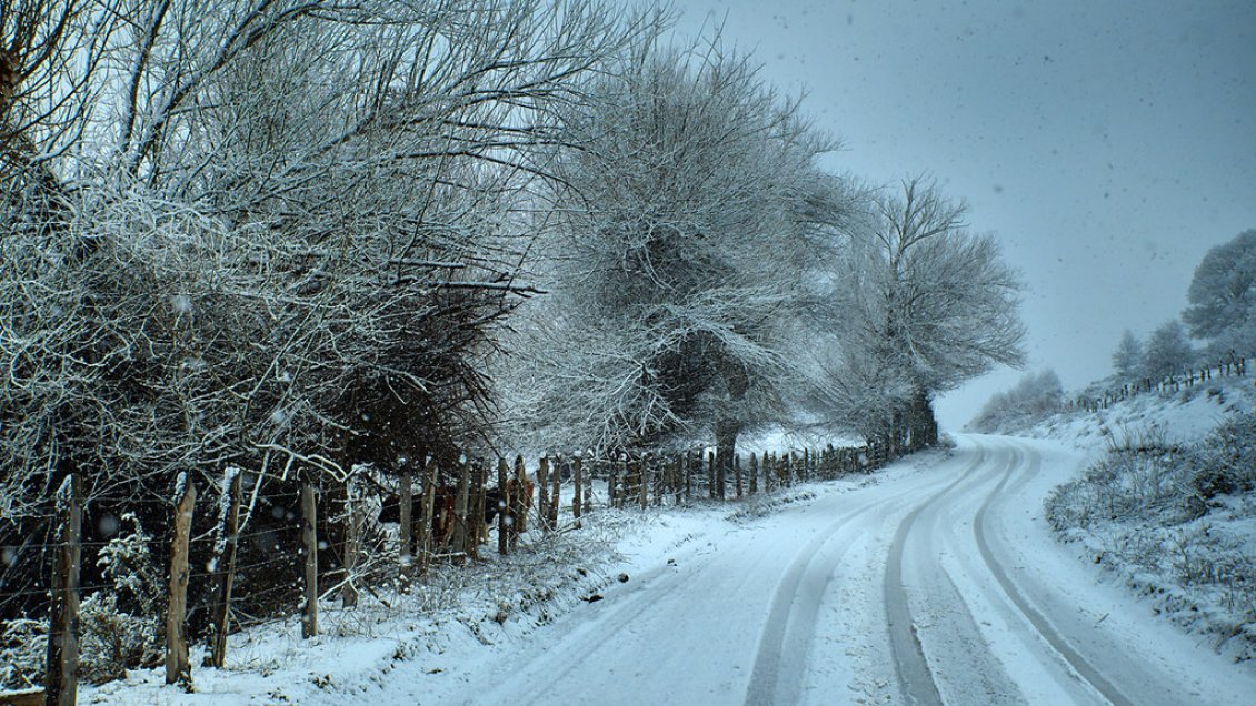 Construirán dos postas de salud rural en Lonquimay