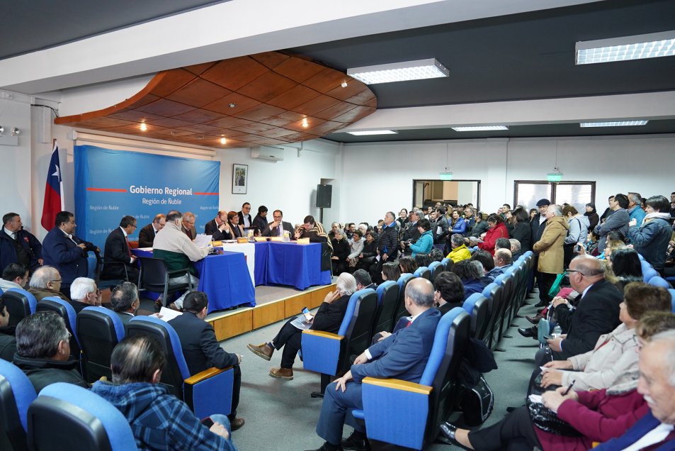 Gobierno Regional destinó 800 millones para subvención cultural en Ñuble