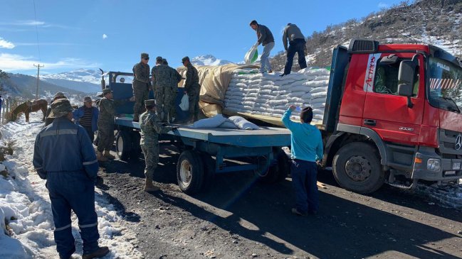 Más de 280 mil kilos de alimento para ganado se han repartido en el Alto Biobío