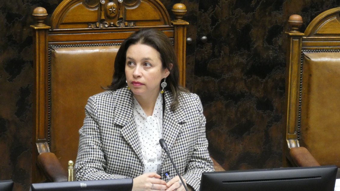 Senadora acusa falta de rigurosidad en alertas ambientales en Coyhaique