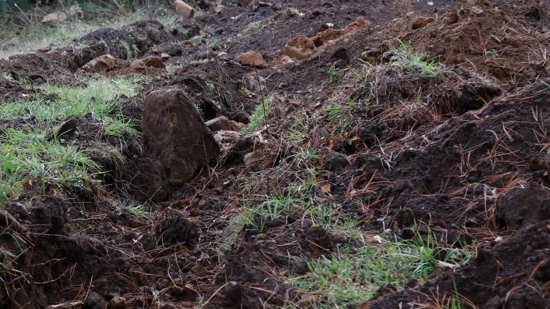 Encuentran cuatro cadáveres en una fosa séptica de una finca en Paraguay