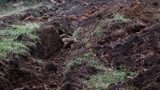 Encuentran cuatro cadáveres en una fosa séptica de una finca en Paraguay
