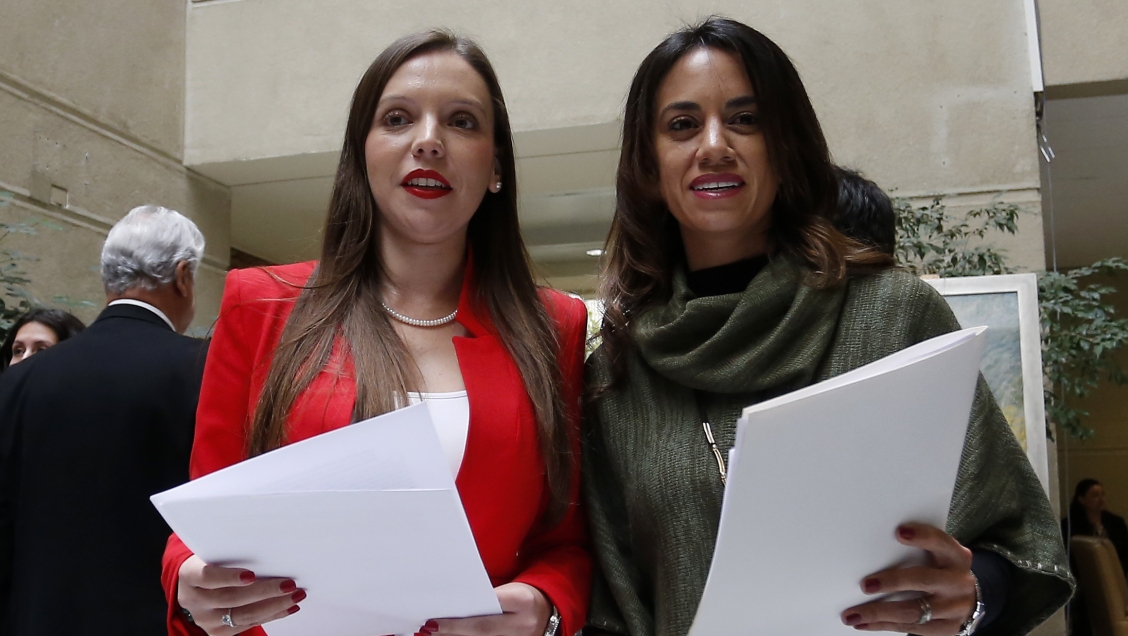 Diputadas RN solicitaron la remoción de la directora del INDH