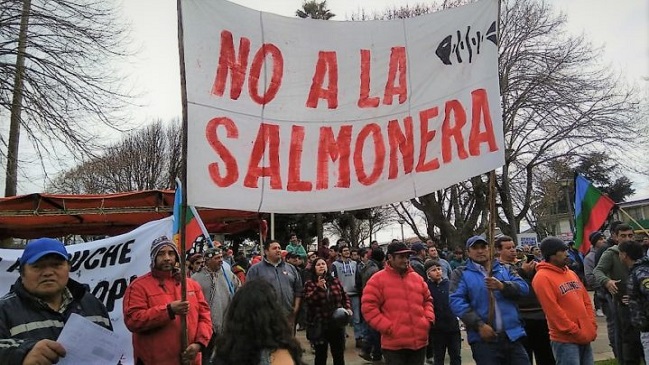 Organizaciones marchan este viernes contra llegada de la industria salmonera al Biobío