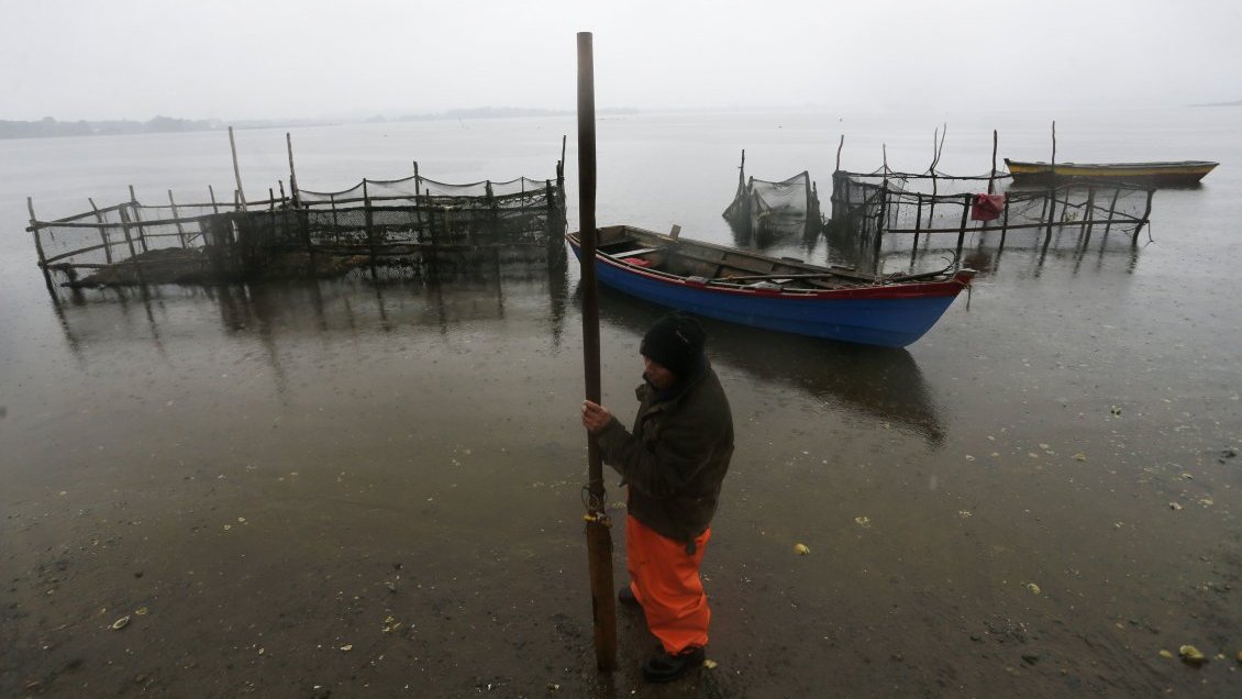 Autoridades apuntan a Essal por existencia de coliformes fecales en la bahía de Ancud