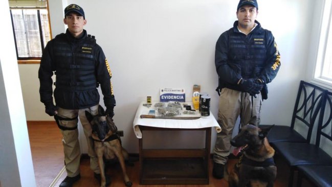 Sorprenden a dos pasajeros de bus que llevaban drogas a Chiloé