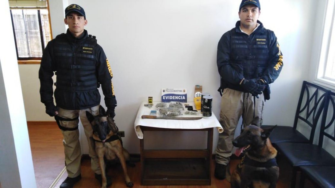 Sorprenden a dos pasajeros de bus que llevaban drogas a Chiloé