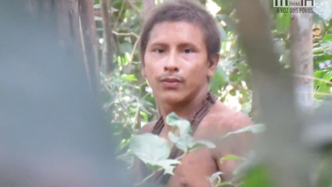 Graban a tribu indígena aislada de la civilización en tierra amenazada por madereros en Brasil