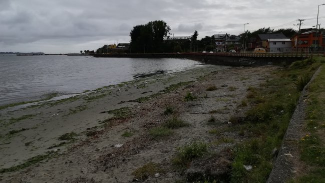 Anuncian mesa de trabajo por contaminación con fecas en la bahía de Ancud