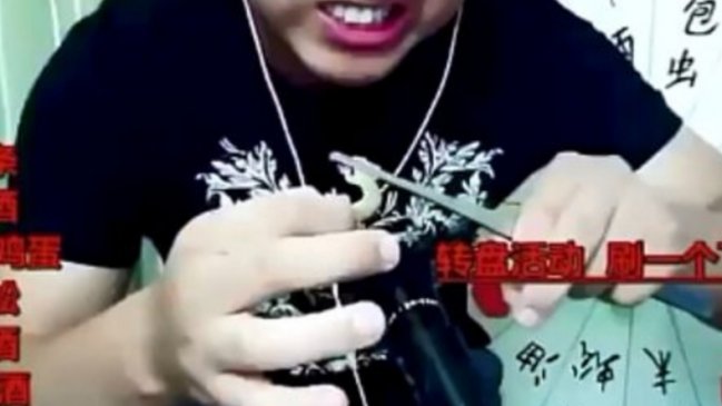 Video blogger chino murió en vivo mientras comía insectos y bebía