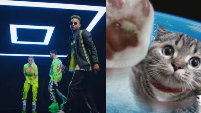 Científicos chilenos teorizaron sobre la evolución del reggaeton y se viralizaron